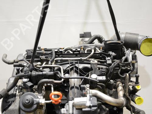 Engine VW GOLF VI (5K1) 2.0 TDI | BP33019326M1  - Image 11