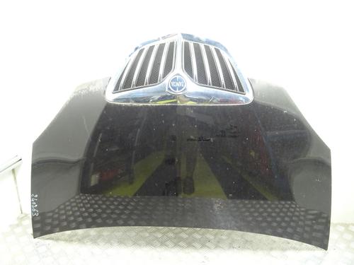 Used Hood Hood LANCIA MUSA (350_) 1.3 D Multijet (350.AXM11, 350.AXM1A, 350.AXI1A) (95 hp) 27343586 27343586