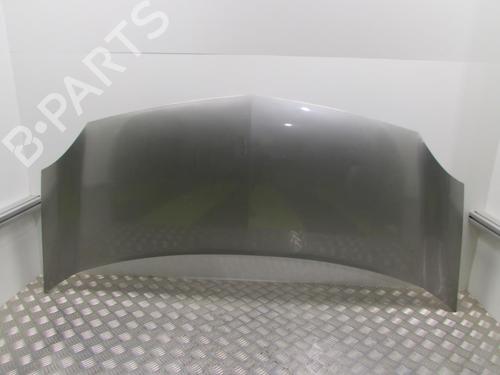 Used Hood RENAULT KANGOO / GRAND KANGOO II (KW0/1_) 1.5 dCi 85 (KW0K, KW0L, KW0B) (86 hp) 20039198