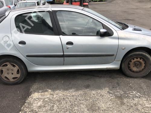 Tailgate PEUGEOT 206 Hatchback (2A/C) 1.6 16V | BP20975853C6 