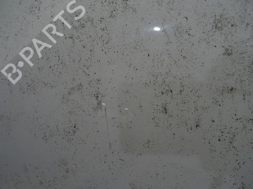 hood-dacia-sandero-2008-29142589 main image