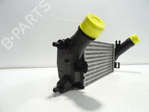 Intercooler FORD ECOSPORT  | BP25145471M30  - Image 6