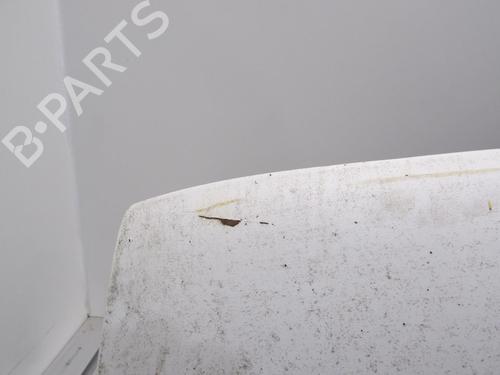 Hood FIAT DUCATO Van (230_) 2.8 D | BP20039214C1 
