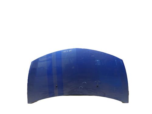 Used Hood RENAULT CLIO III (BR0/1, CR0/1) 1.6 16V GT (BR10, CR10) (128 hp) 31286986