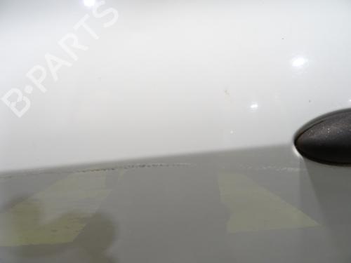 Left front door RENAULT CLIO III (BR0/1, CR0/1) 1.2 16V Hi-Flex (BR1U, CR1U) | BP29020593C2 
