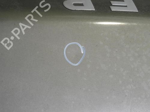 Hood LAND ROVER FREELANDER I (L314)  | BP21971562C1 