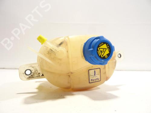Expansion tank CITROËN NEMO Box Body/MPV (AA_) 1.3 HDi 75 | BP28951929C120 