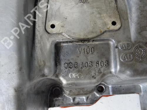 Used Oil sump Oil sump SEAT LEON (1P1) 2.0 TDI (170 hp) 20039273 20039273