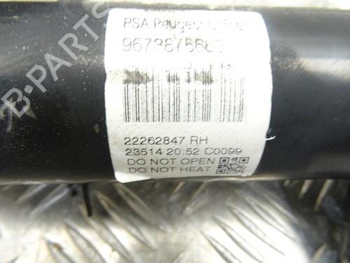 Right front shock absorber DS DS 3 (SA_) 1.2 THP 110 / PureTech 110 (SAHNPS, SAHNZ6, SAHNZT) | BP28209496M17 