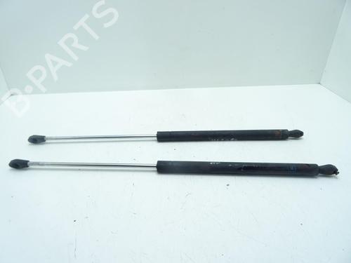 tailgate-lift-support-ford-puma-ec_-1997-1998-1999-2000-2001-2002-32783221 main image