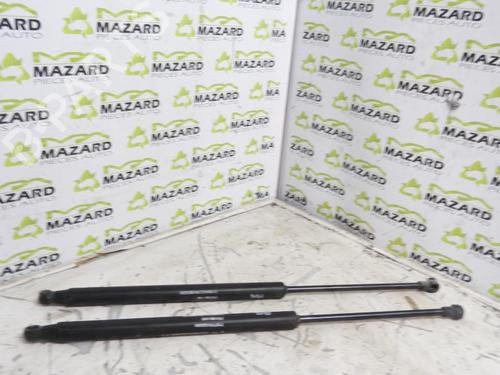 Used Tailgate lift support FIAT 500 (312_) 1.3 D Multijet (312AXB1A) (75 hp) 20059711