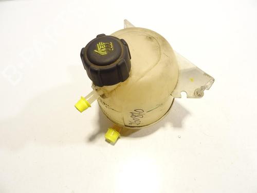 Expansion tank DACIA SANDERO 1.4 (BS0C, BS0A, BS0G, BS1F, BS0E) | BP28964479C120