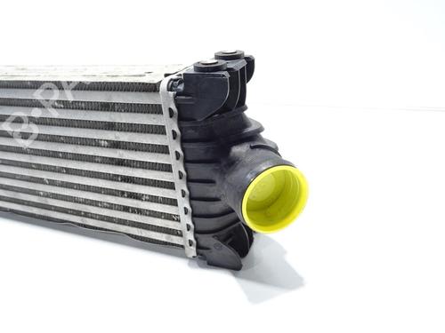 Intercooler FORD TRANSIT V363 Van (FCD, FDD)  | BP29434491M30 