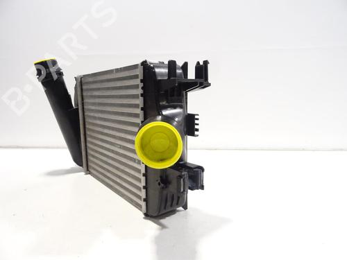 Intercooler RENAULT CLIO V (B7_) 1.0 TCe 100 (B7MT) | BP29066042M30  - Image 5
