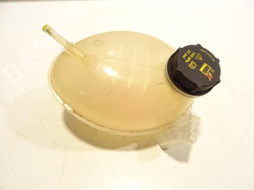 Used Expansion tank FORD FIESTA VII (HJ, HF) 1.0 EcoBoost (95 hp) 29756903