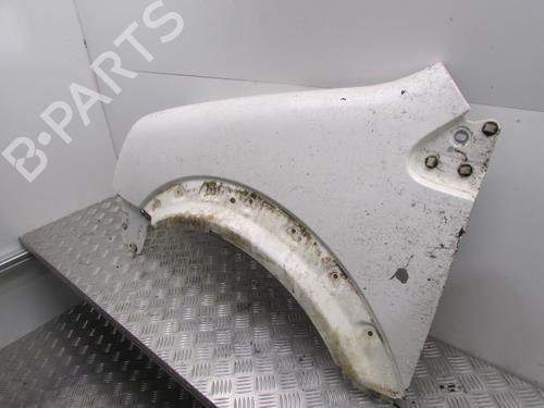 Left front fenders FORD TRANSIT CONNECT (P65_, P70_, P80_) 1.8 TDCi | BP20492802C41 