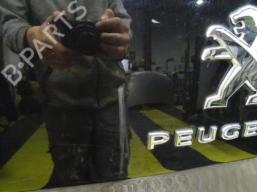 Right tailgate PEUGEOT EXPERT Van (V_) 2.0 BlueHDi 150 | BP30711549C77 