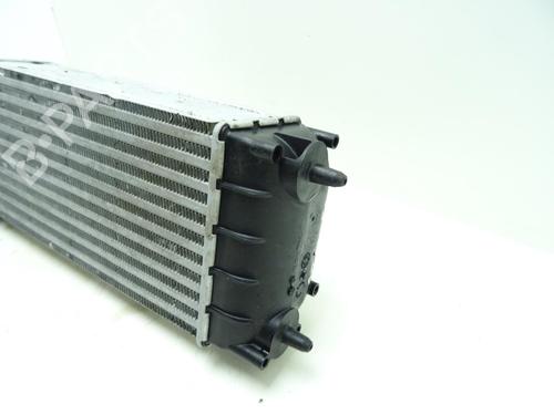 Used Intercooler Intercooler PEUGEOT 3008 I MPV (0U_) 1.6 HDi (114 hp) 29998209 29998209
