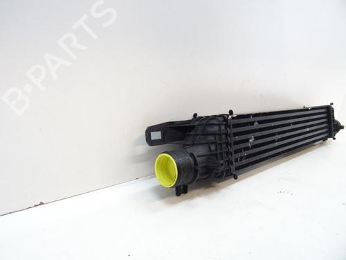 Intercooler ALFA ROMEO GIULIETTA (940_) 1.4 TB (940FXA1A, 940FXT1A) | BP20055684M30 