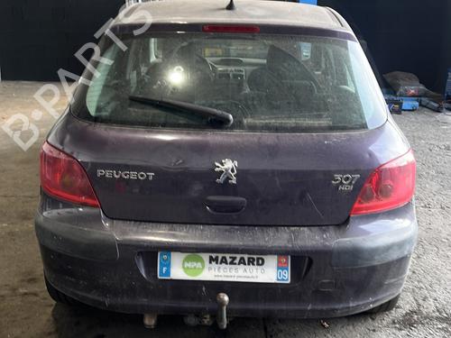 Ignition barrel PEUGEOT 307 (3A/C) 2.0 HDi 110 | BP31380020M48 