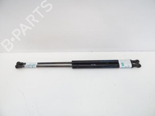 Tailgate lift support FIAT PANDA (169_) 1.3 JTD Multijet 4x4 (169AXG1A, 169AXG2A) 46827091