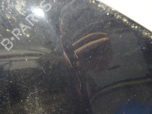 Used Hood Hood CITROËN C5 III (RD_) 2.0 HDi 140 (RDRHF8, RDRHFA, RDRHA8, RDRHAJ) (140 hp) 32250115 32250115