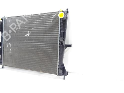 Køler RENAULT CLIO III (BR0/1, CR0/1) 1.2 16V Hi-Flex (BR1U, CR1U) | BP29065968M31 