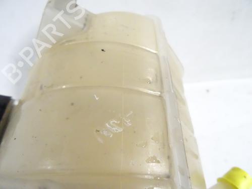 expansion-tank-renault-kangoo-express-fw01_-2008-31851073 main image