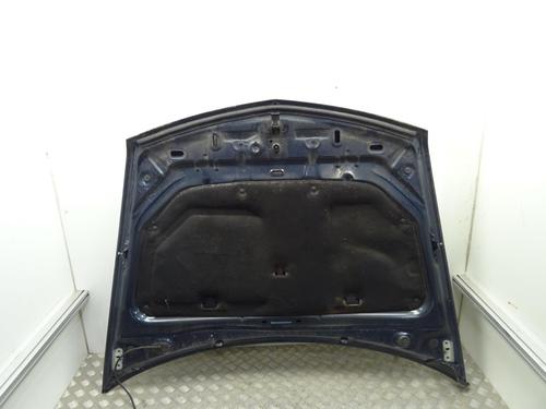 Hood RENAULT VEL SATIS (BJ0_) 3.0 dCi (BJ0J, BJ0N) | BP22959346C1 