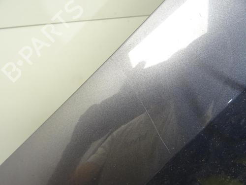 Left front fenders RENAULT CLIO III (BR0/1, CR0/1) 1.4 16V | BP27611600C41 