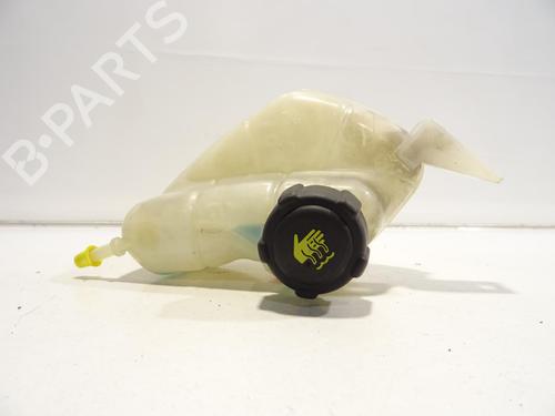 Expansion tank NISSAN QASHQAI II (J11, J11_) 1.6 dCi ALL MODE 4x4-i | BP29571356C120 
