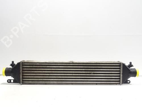Intercooler Intercooler FIAT DOBLO Cargo (263_) 1.3 D Multijet (90 hp) 33828959 33828959
