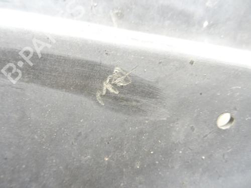 Front slam panel CITROËN C8 (EA_, EB_) 2.0 HDi 165 | BP27685766C72 - Image 2