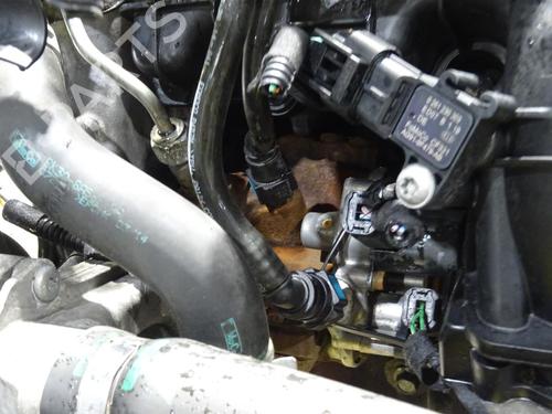Engine FORD TRANSIT V363 Van (FCD, FDD)  | BP29839004M1