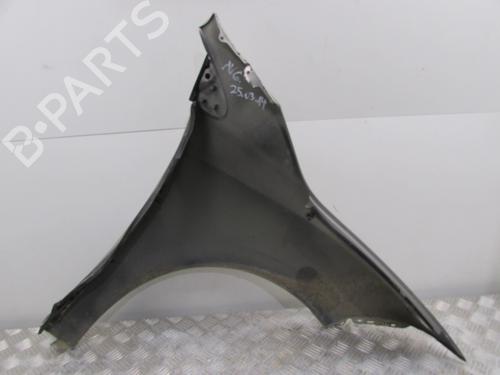 Left front fenders RENAULT MEGANE III Hatchback (BZ0/1_, B3_) 1.5 dCi | BP26516078C41 
