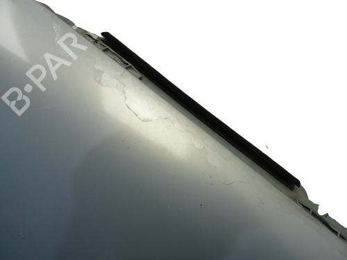 Parafango anteriore destro RENAULT SCÉNIC I MPV (JA0/1_, FA0_) 1.9 dCi RX4 | BP29838980C42 