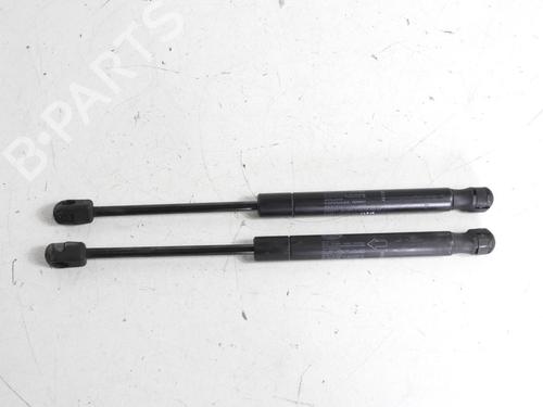Hood lift support LAND ROVER RANGE ROVER EVOQUE (L538) 2.0 D 4x4 | BP20066955C139 