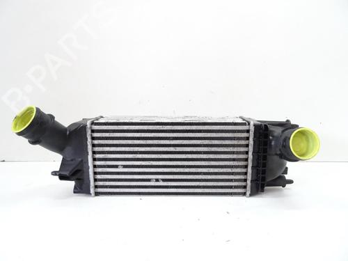 Used Intercooler Intercooler PEUGEOT 407 (6D_) 2.0 HDi 135 (6DRHRH, 6DRHRE, 6DRHRG, 6DRHRJ) (136 hp) 20042622 20042622