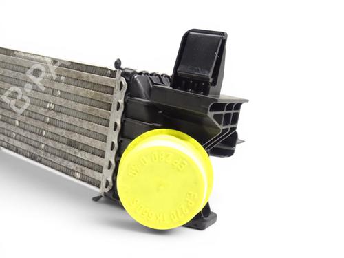 Intercooler OPEL MOVANO C Van (U9) 2.2 D | BP37725355M30 - Image 8