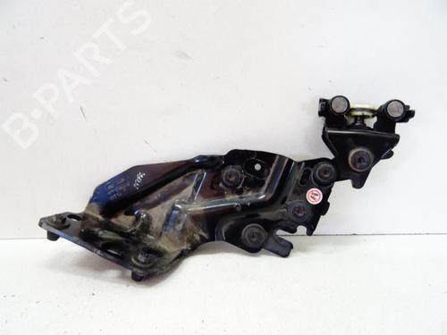 Hinge/Door check strap FORD B-MAX (JK) 1.6 TDCi | BP20042884C146 