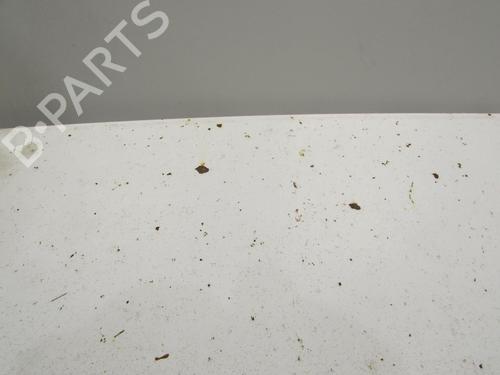 Hood FIAT DUCATO Van (230_) 2.8 D | BP20039214C1 