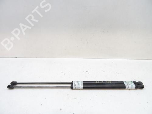 Tailgate lift support FORD KUGA I  | BP20065429C138 