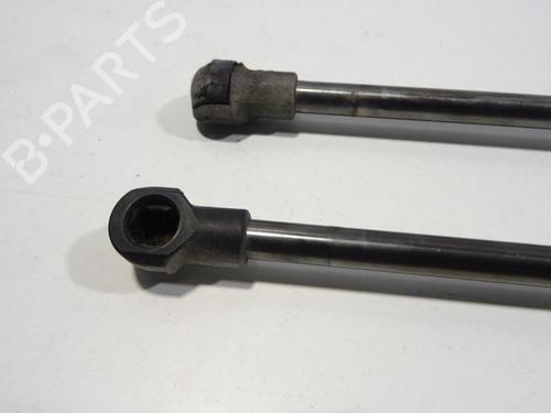 tailgate-lift-support-fiat-panda-312_-319_-2012-27279313 main image