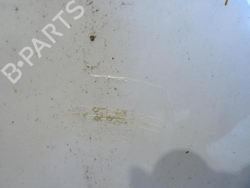 Used Left front door Left front door RENAULT SCÉNIC III (JZ0/1_) 1.5 dCi (86 hp) 34617525 34617525