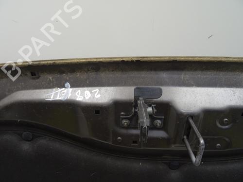 Hood PEUGEOT 208 II (UB_, UP_, UW_, UJ_) 1.2 PureTech 75 | BP29330007C1 