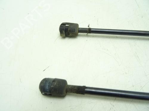 Amortecedor da mala Amortecedor da mala RENAULT SCÉNIC II (JM0/1_) [2003-2010] 33828837 33828837