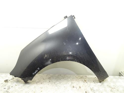 Used Left front fenders RENAULT GRAND SCÉNIC III (JZ0/1_) 1.9 dCi (JZ0J, JZ0N, JZ1K, JZ1S) (131 hp) 28386067