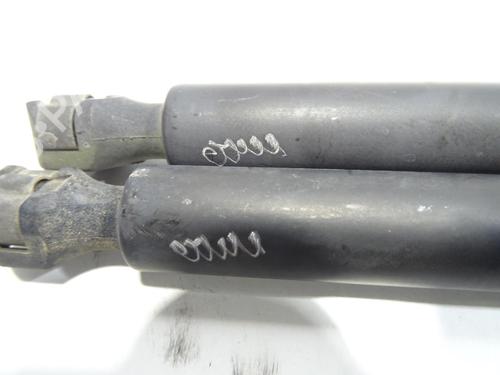 Tailgate lift support CITROËN EVASION MPV (22, U6)  | BP27220482C138 