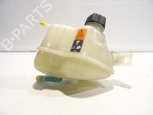 Expansion tank NISSAN QASHQAI II (J11, J11_) 1.6 dCi ALL MODE 4x4-i | BP29571356C120 