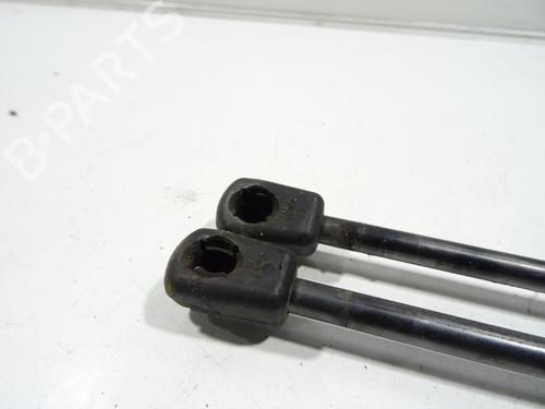 Tailgate lift support FORD FIESTA VI (CB1, CCN) 1.5 TDCi | BP27540021C138 